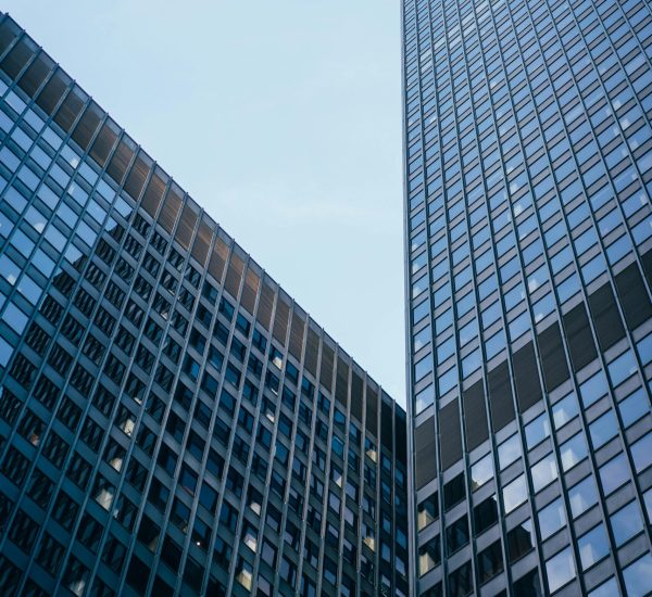 pexels-rickyrecap-2295433